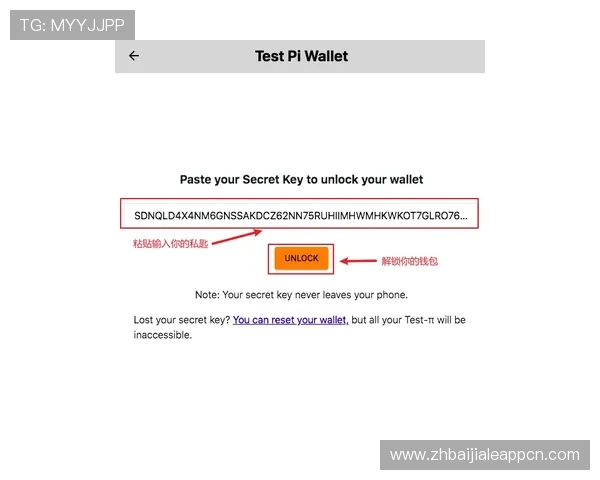 极飞视讯下载后如何快速登录使用，详细操作步骤与注意事项
